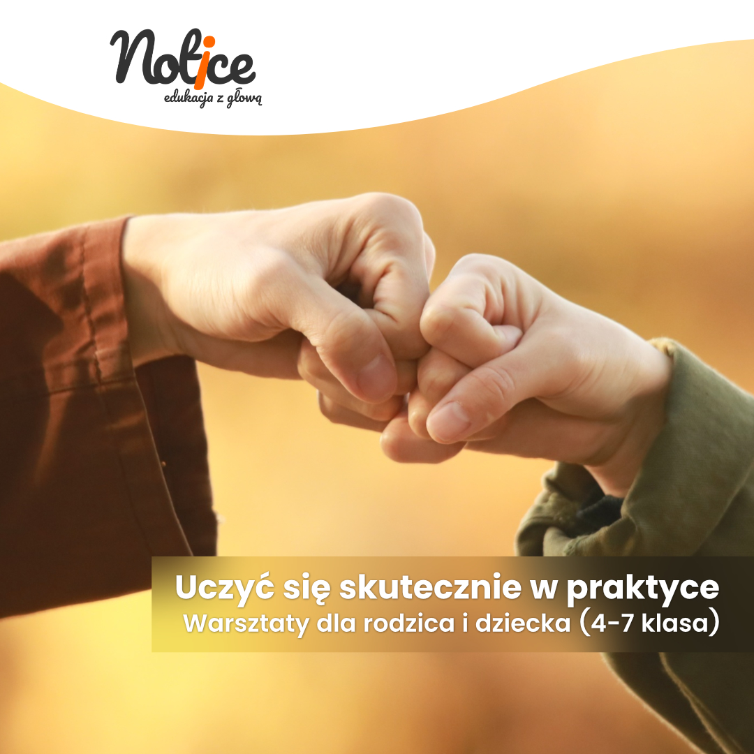 Warsztaty: Uczyć się skutecznie w praktyce